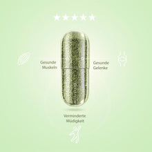 Lade das Bild in den Galerie-Viewer, Fibromine trägt zu einer gesunden Funktion von Muskeln und Gelenken bei
